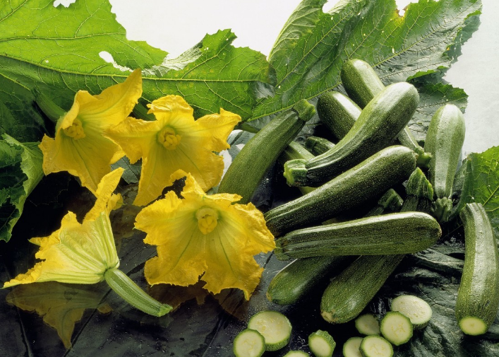 西葫芦种植 - 2020年最新商品信息聚合专区 - 百度爱采购