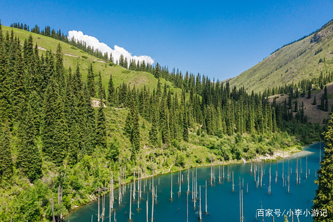 天山脚下的Lake Kaindy|哈萨克斯坦 天山脚下的Lake Kaindy|哈萨克斯坦