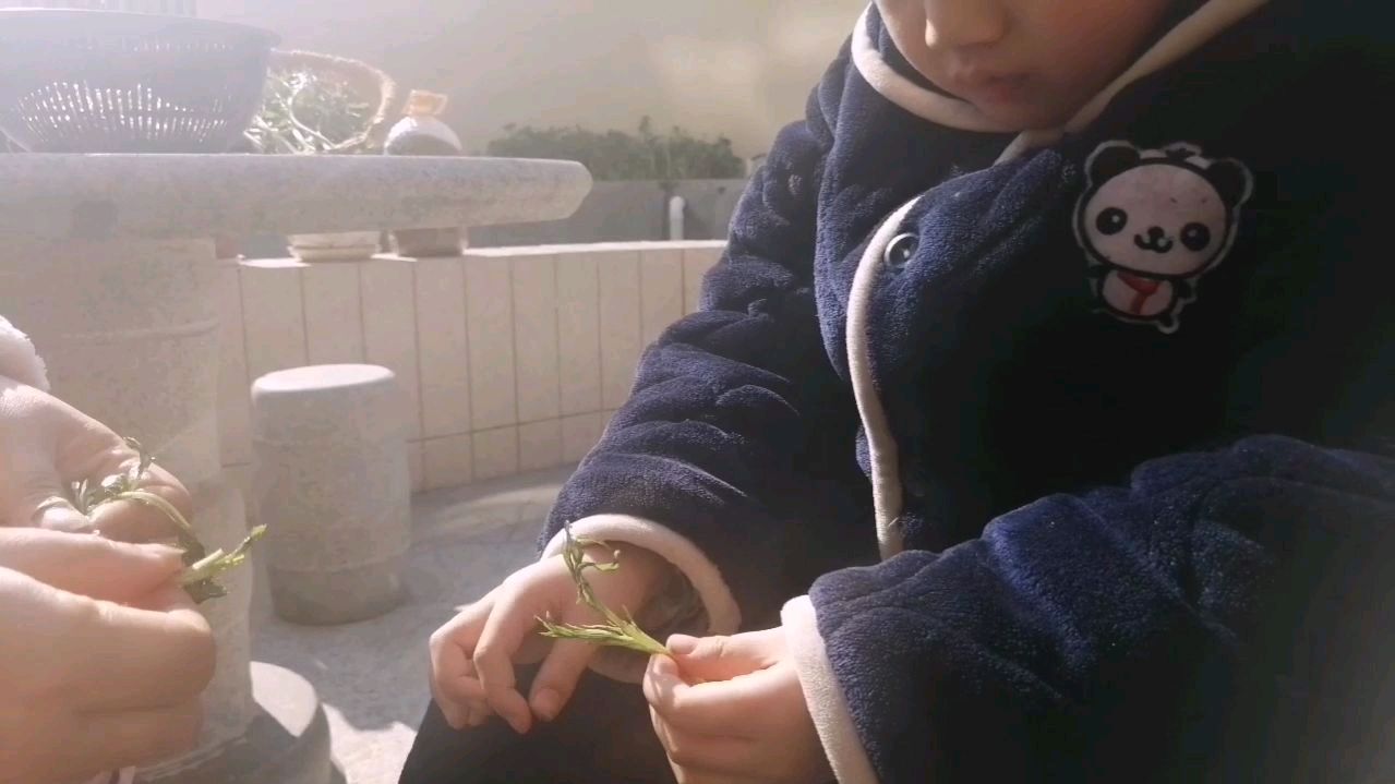 正是吃野味的季节,做一道藜蒿炒腊肉,好吃的都流口水