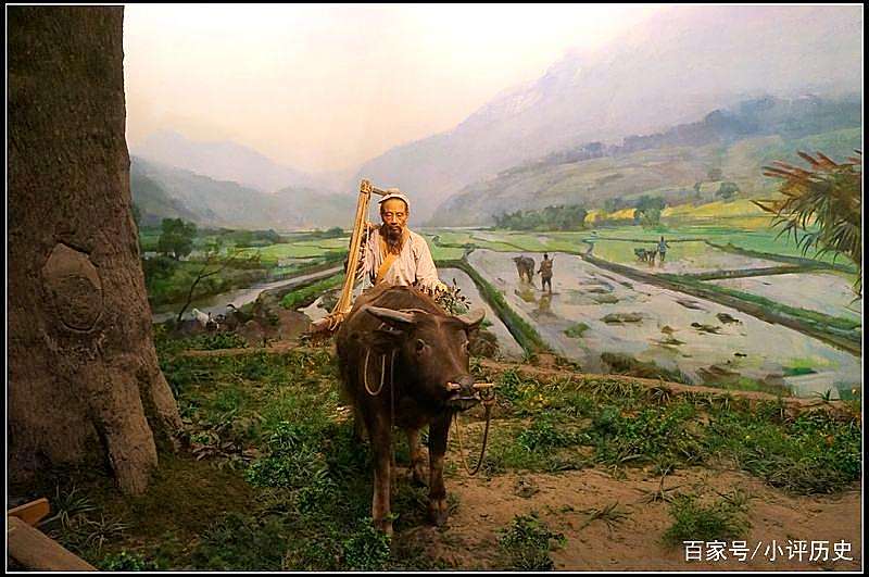 聊聊中国古代种菜那些事