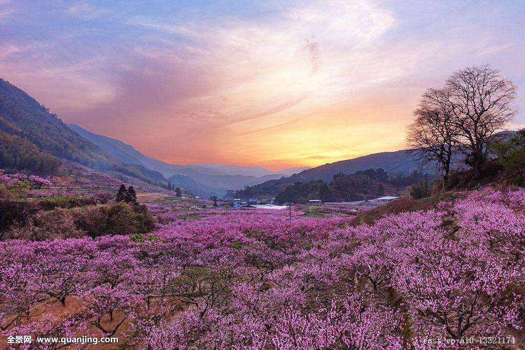 描述女性桃花源图片