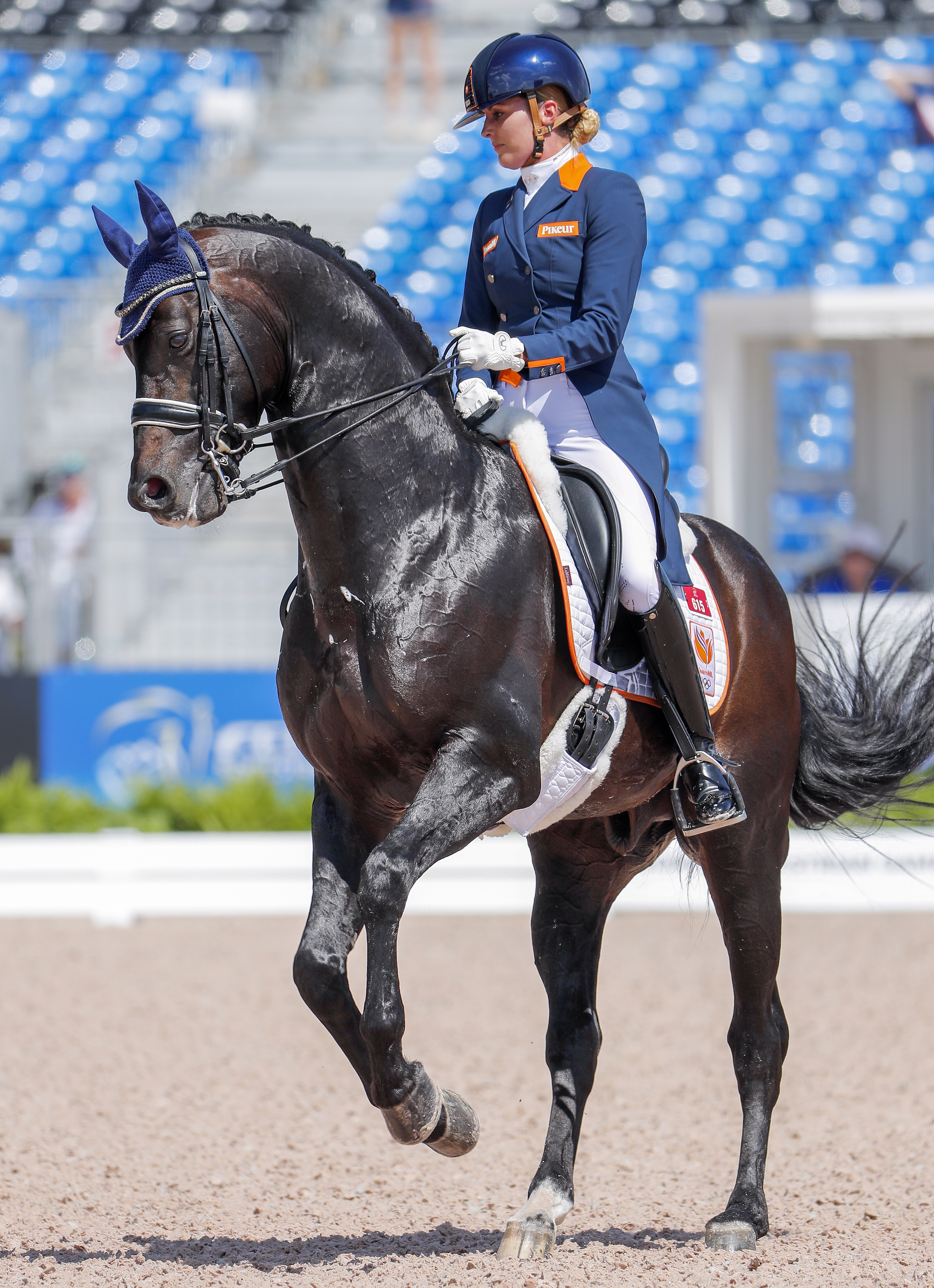 马术——世界运动会赛况(10)