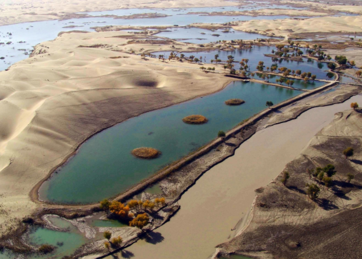 它就是塔里木河,位于新疆南部,源头有叶尔羌河,阿克苏河以及和田河,干