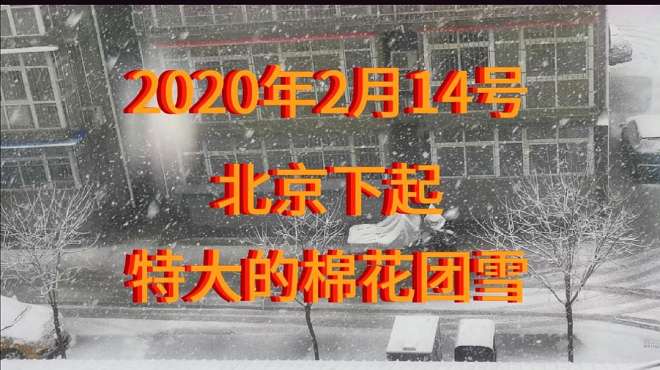 [图]北京不寻常的气候，夜间刮大风下大雨，清晨下起特大的棉花团雪