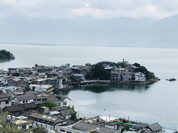 双廊赏荷 大理潘正伟