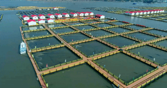 央视:福建霞浦渔排改造升级 海上阡陌绘新景