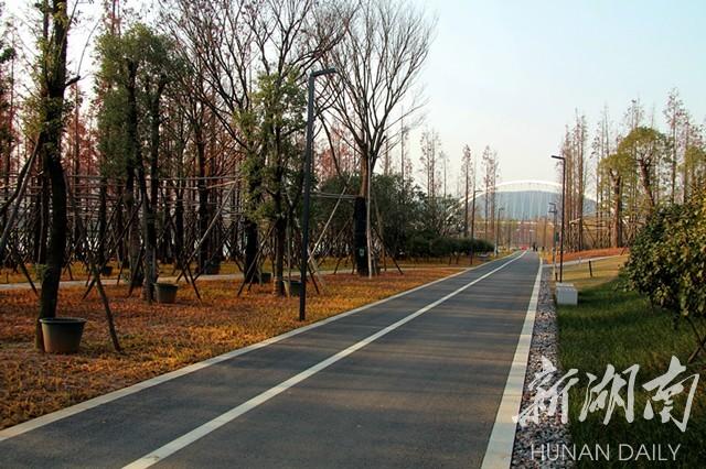 湘江上的巴溪洲:人与自然的和谐交响曲