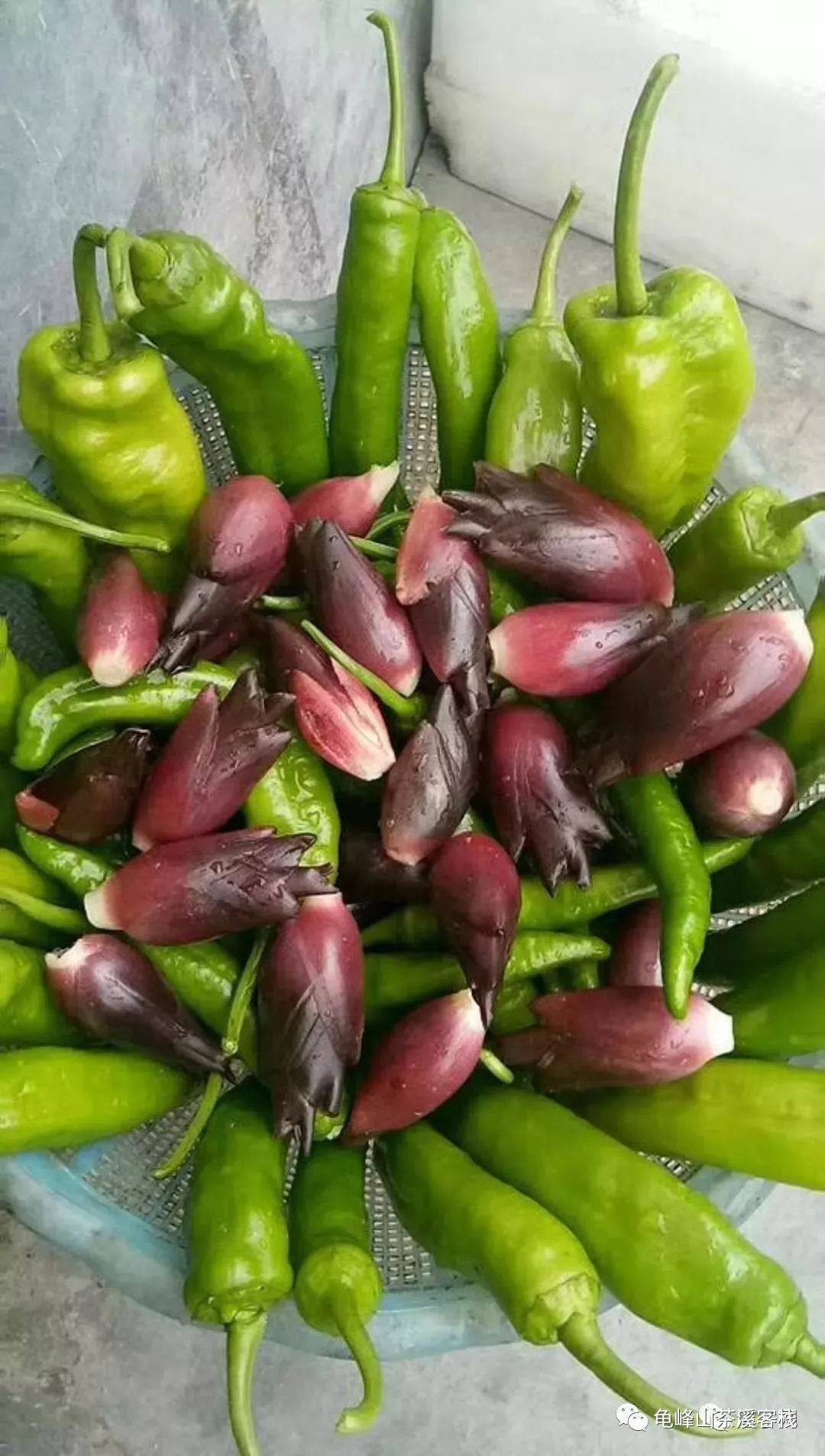 大别山特色菜:阳荷姜