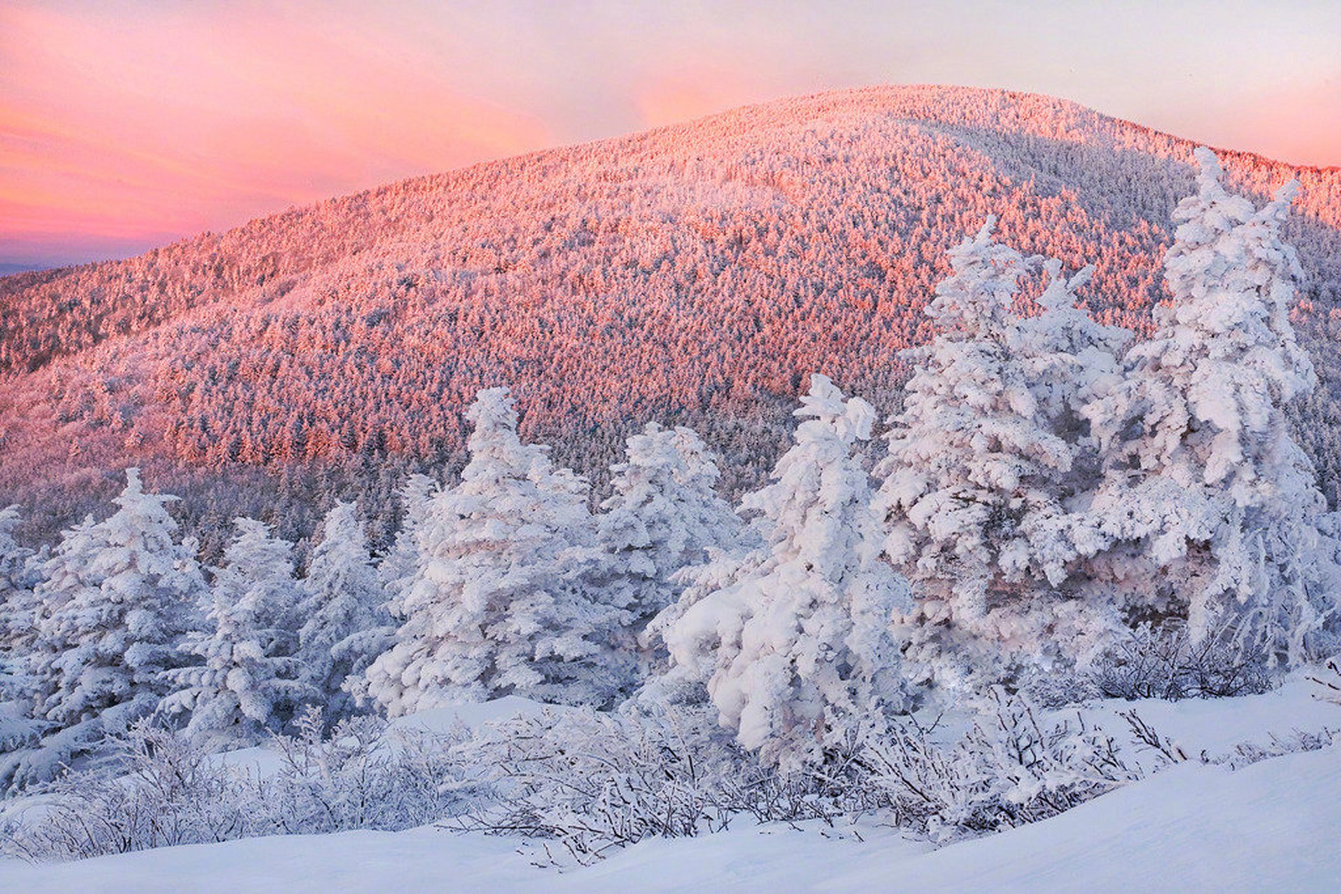 万物皆可云#【云旅游】粉色的雪~~分享下你手机里拍下的冬天的样子吧
