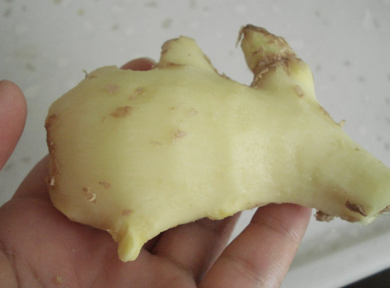 防晕车,生姜有助于减轻呕吐反应,减轻身体不适,如果经常晕车的话,需要