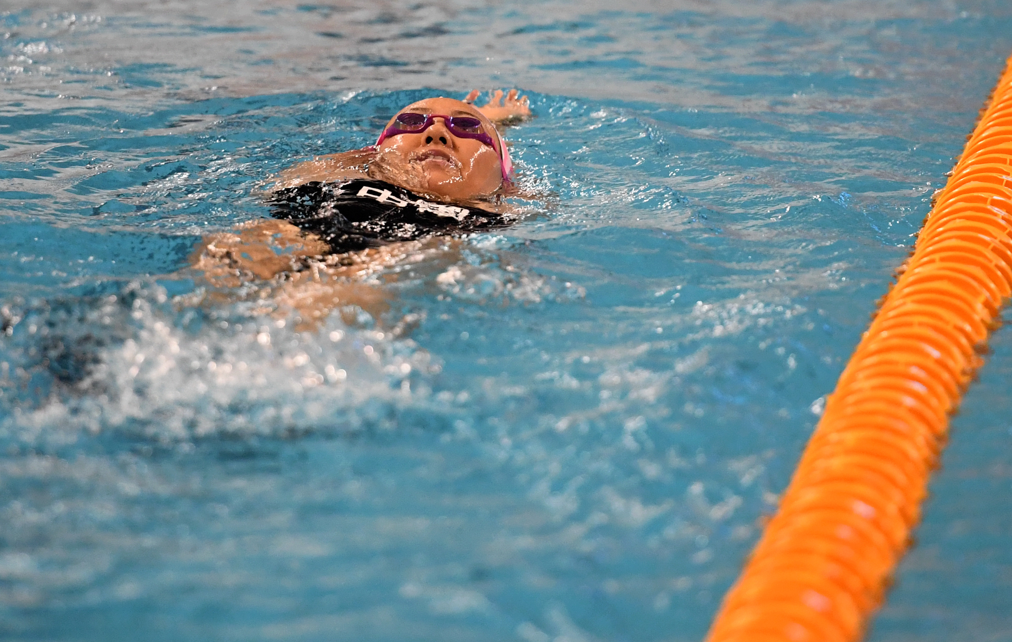 游泳——国家游泳队举行公开训练课(7)