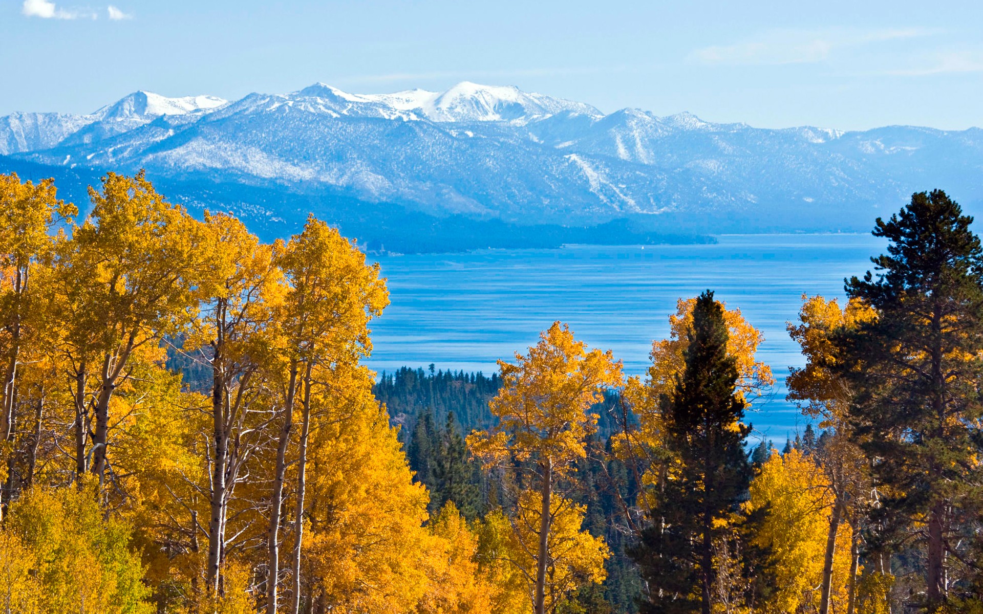 三十六计(15)调虎离山:下政攻城,若攻坚,则自取败亡