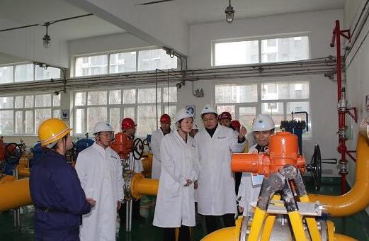 聊城市城市管理局副局长孙慧芳一行到聊城新奥开展安全检查