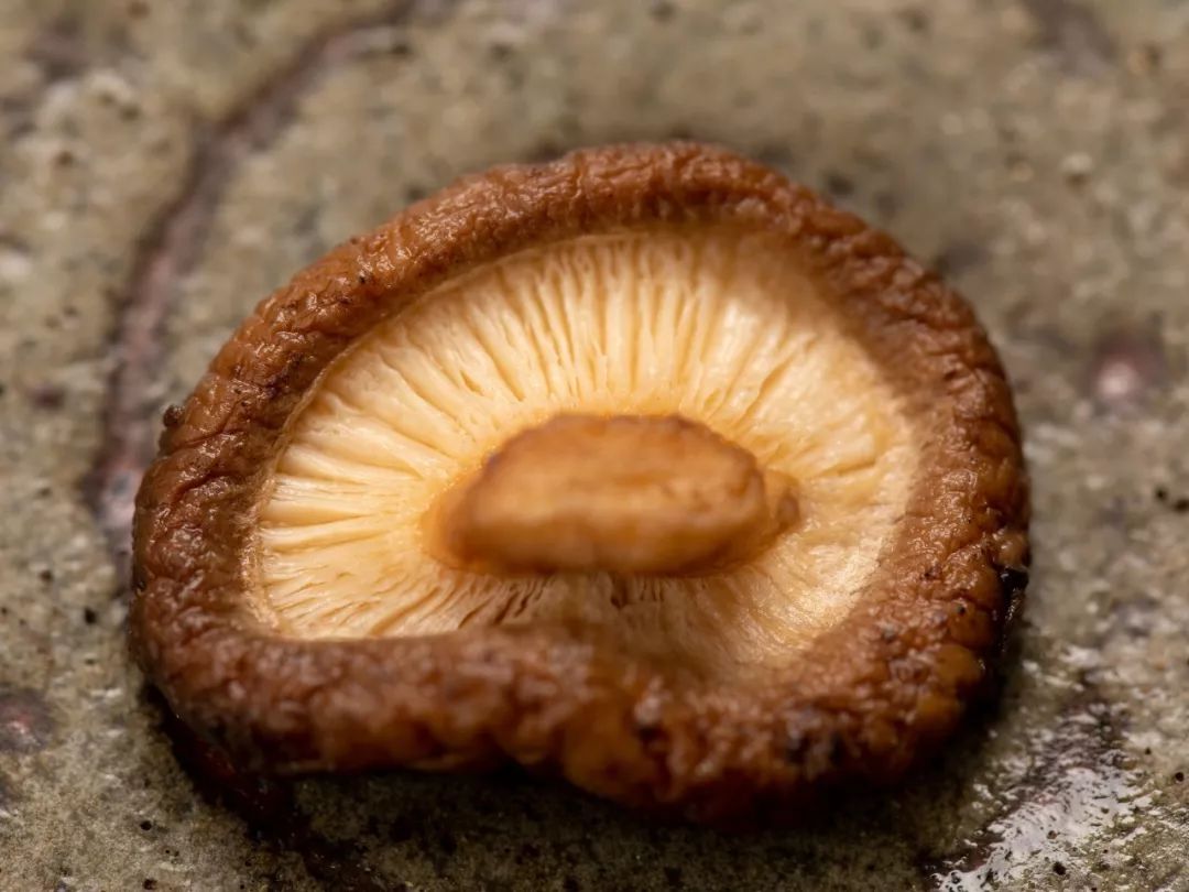 东北来的小香菇,真的是菌菇中的佼佼者,做出来的美食太香了