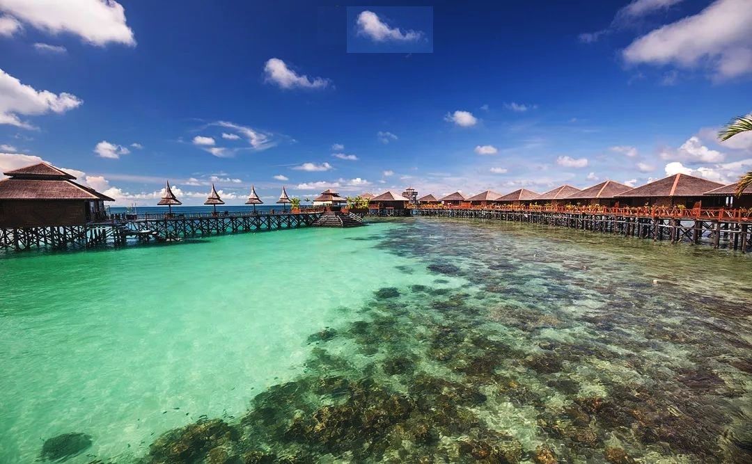 西里伯斯海又名苏拉威西海,位于著名的"珊瑚角"中心