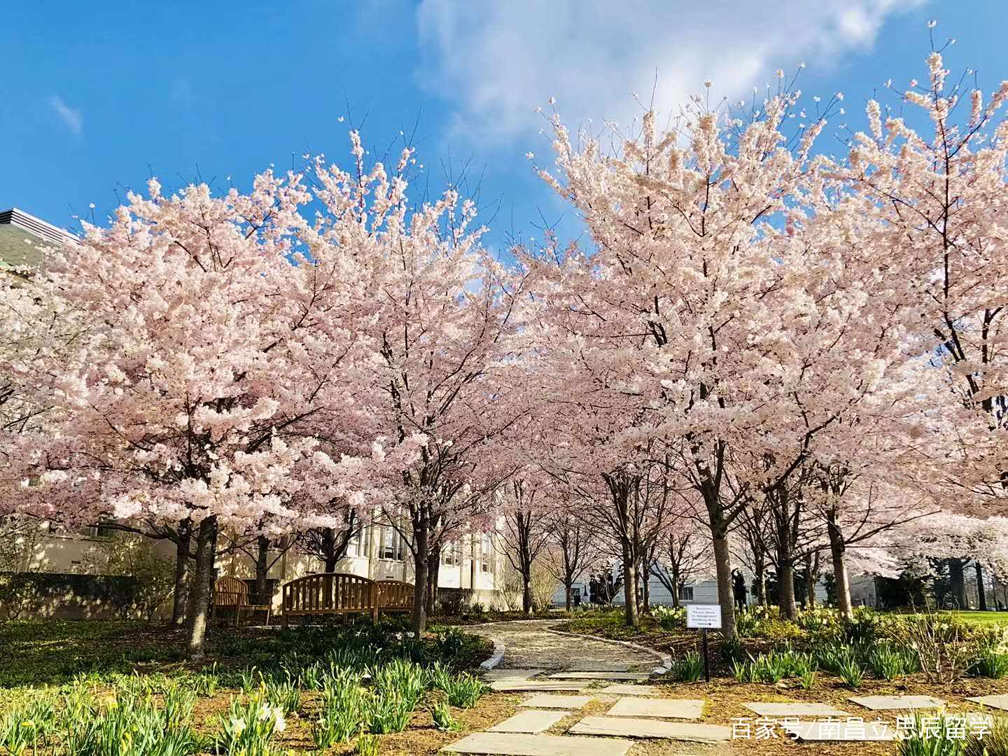 克拉克大学中国留学生申请越来越多,去美国读克拉克大学怎么样? 克拉克大学中国留学生申请越来越多,去美国读克拉克大学怎么样?