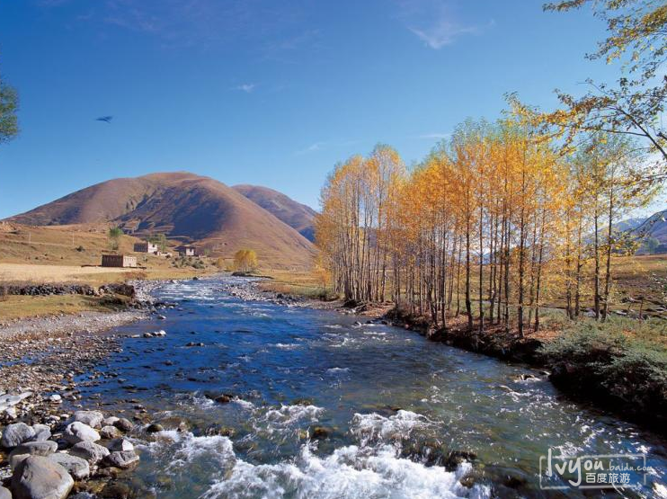 适合休闲的白鹿森林公园,村子很小的又一村.