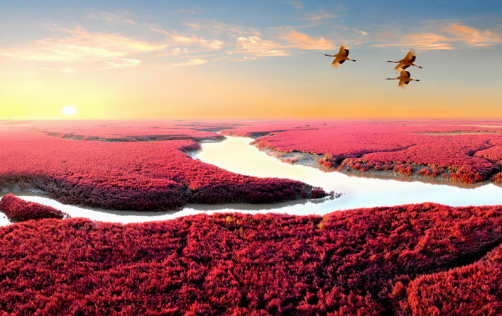 海水居然是红的,中国独一无二的红色海,一年只红一次