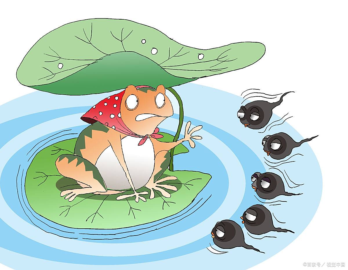 小蝌蚪找妈妈新编