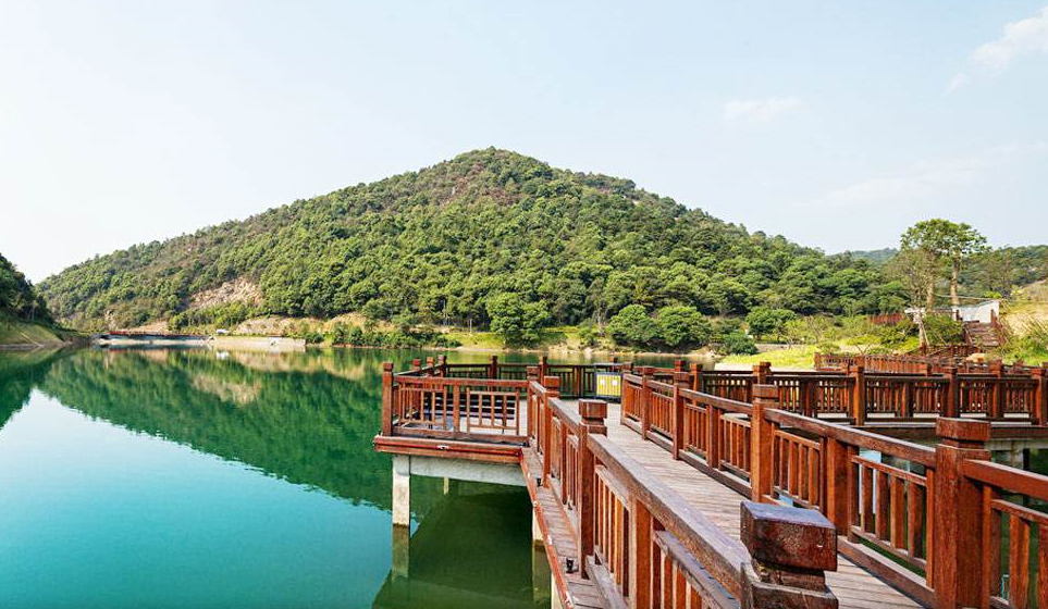 岳麓山风景名胜区:山中树木茂盛,古树名木随处可见