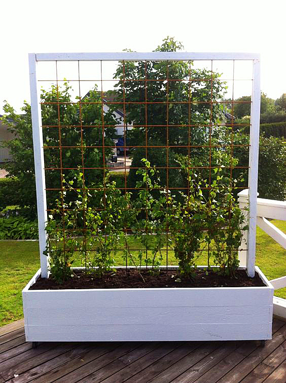 庭院花架合集:给花园庭院里的爬藤植物搭个漂亮的花架吧