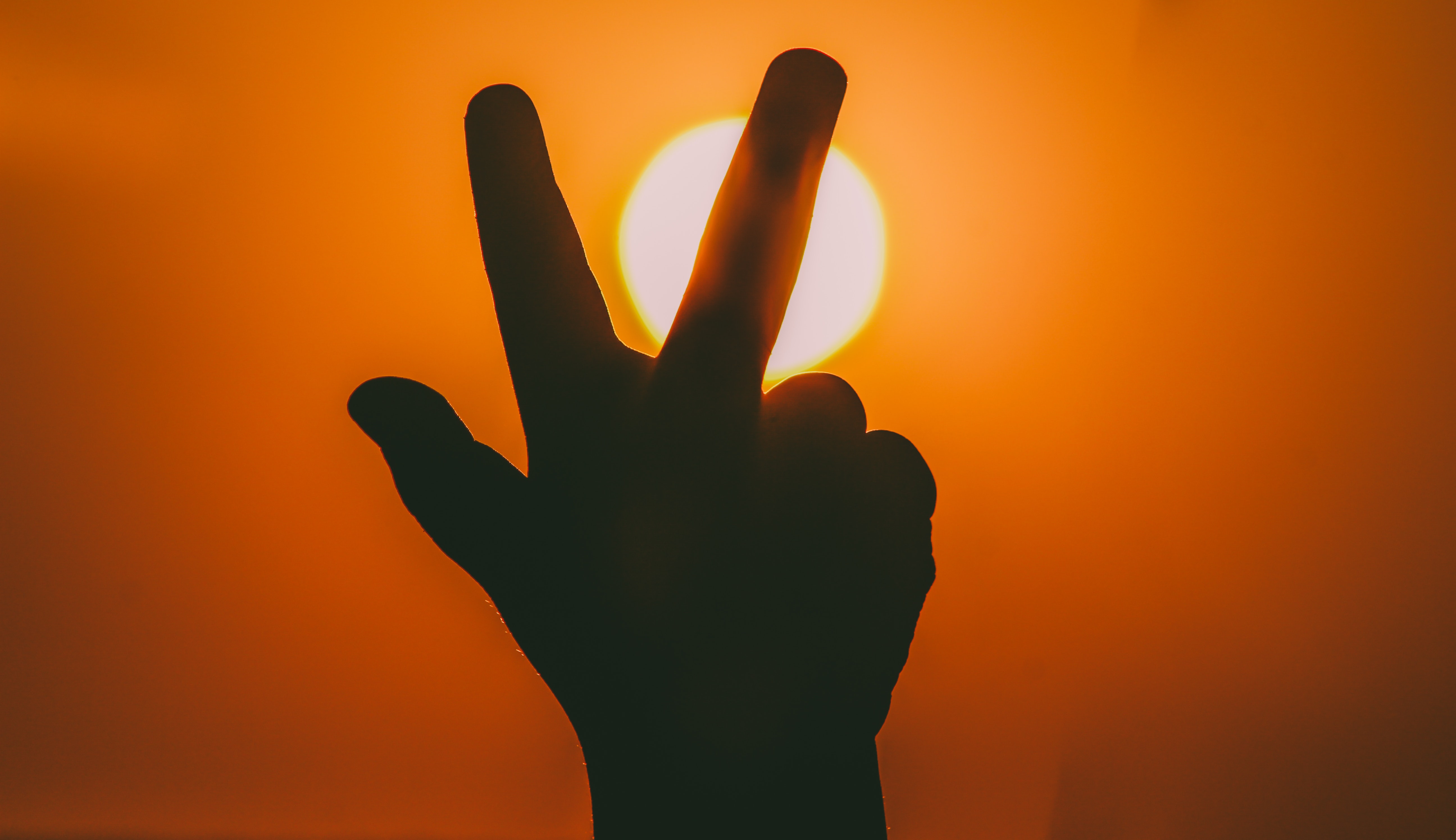 超好看!剪影效果的照片,教你拍摄意境爆棚的剪影效果