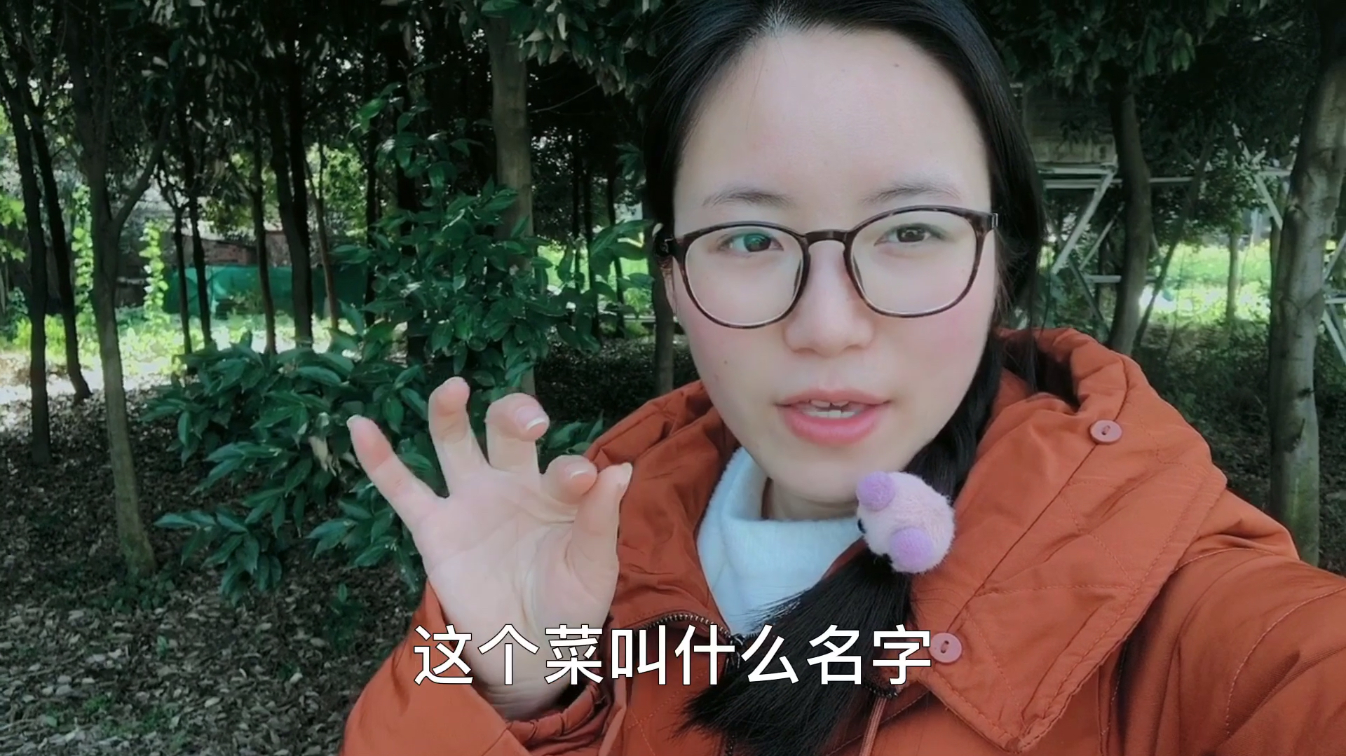 四川的特产的菜,名取的就是怪,看看你能认出几个