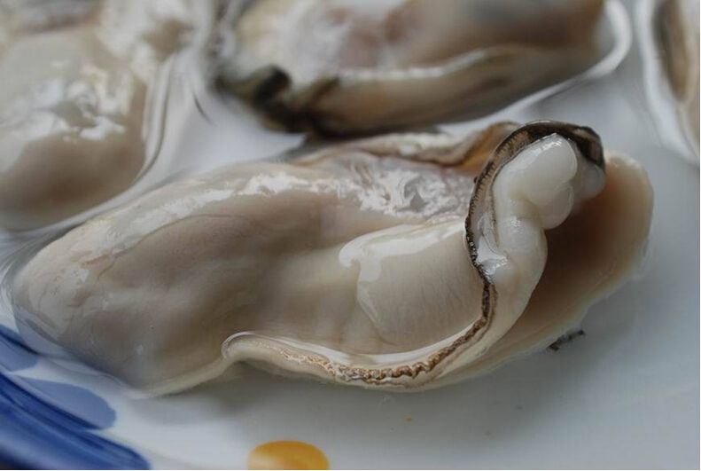日本顶级"巨型牡蛎",破开后直接生吃,看完让人口水直流!