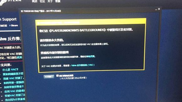 绝地求生昨夜突然更新大规模封号!关于是否误封引起玩家激烈争论