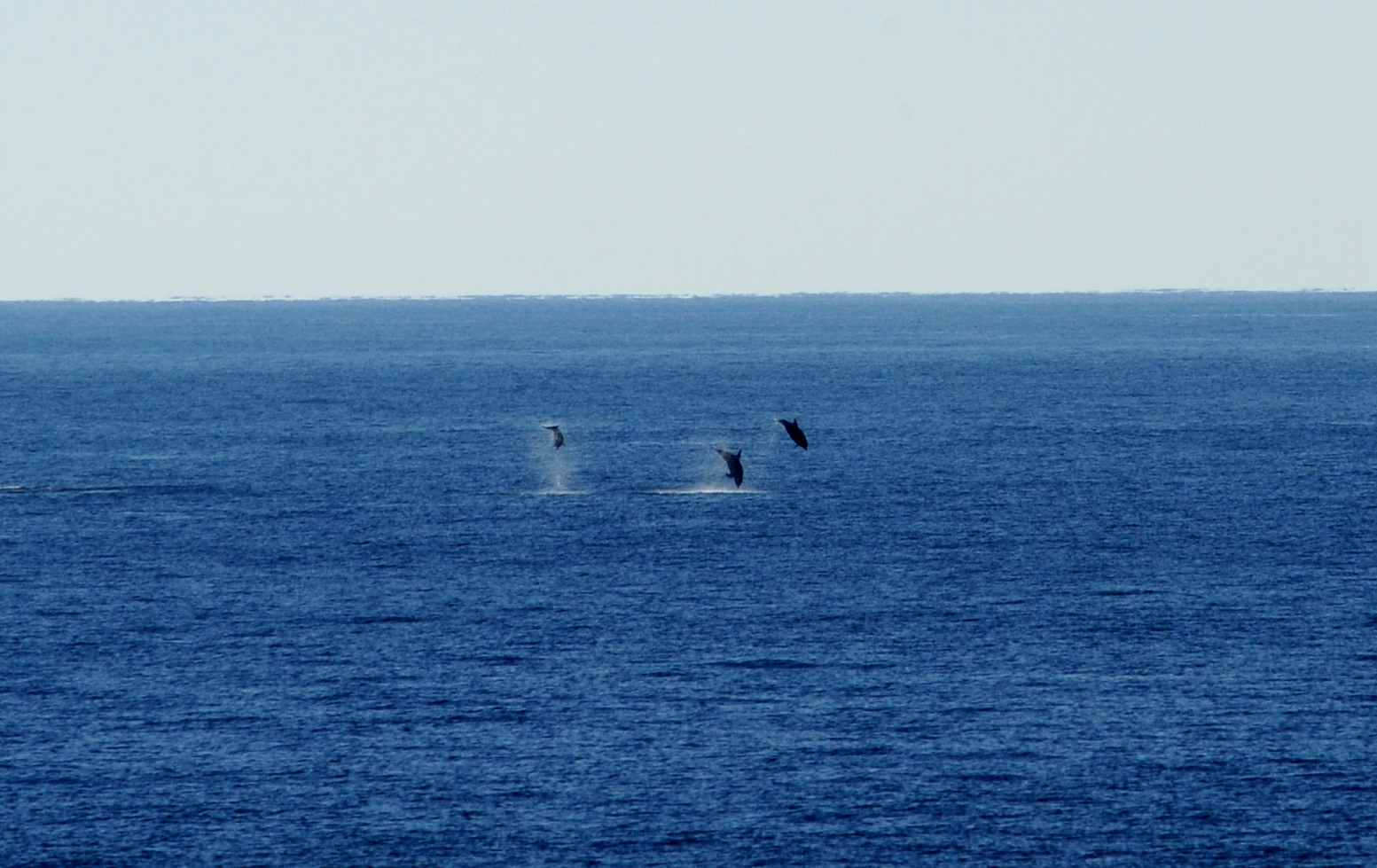 (图文互动)(2)通讯:探秘北印度洋莫克兰海沟