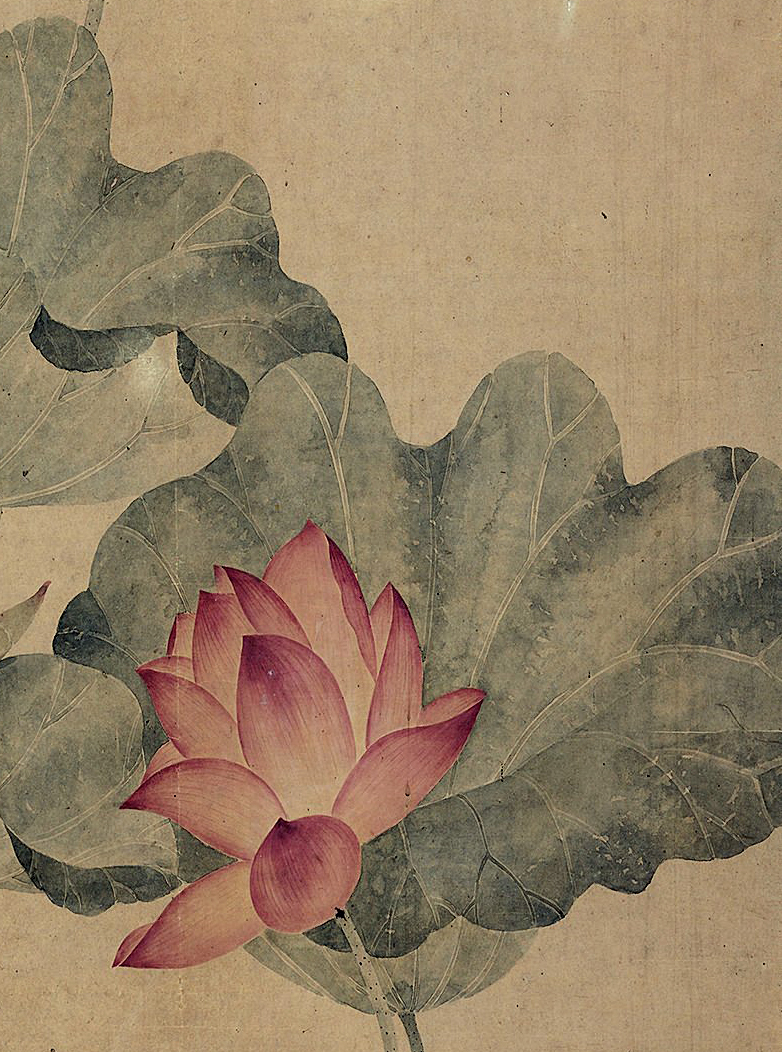 他与恽寿平齐名,人称"唐荷花",清初唐苂绘《荷花图》欣赏