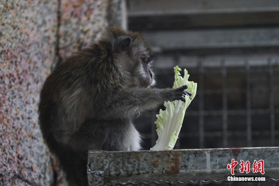 贵阳黔灵山动物园图片