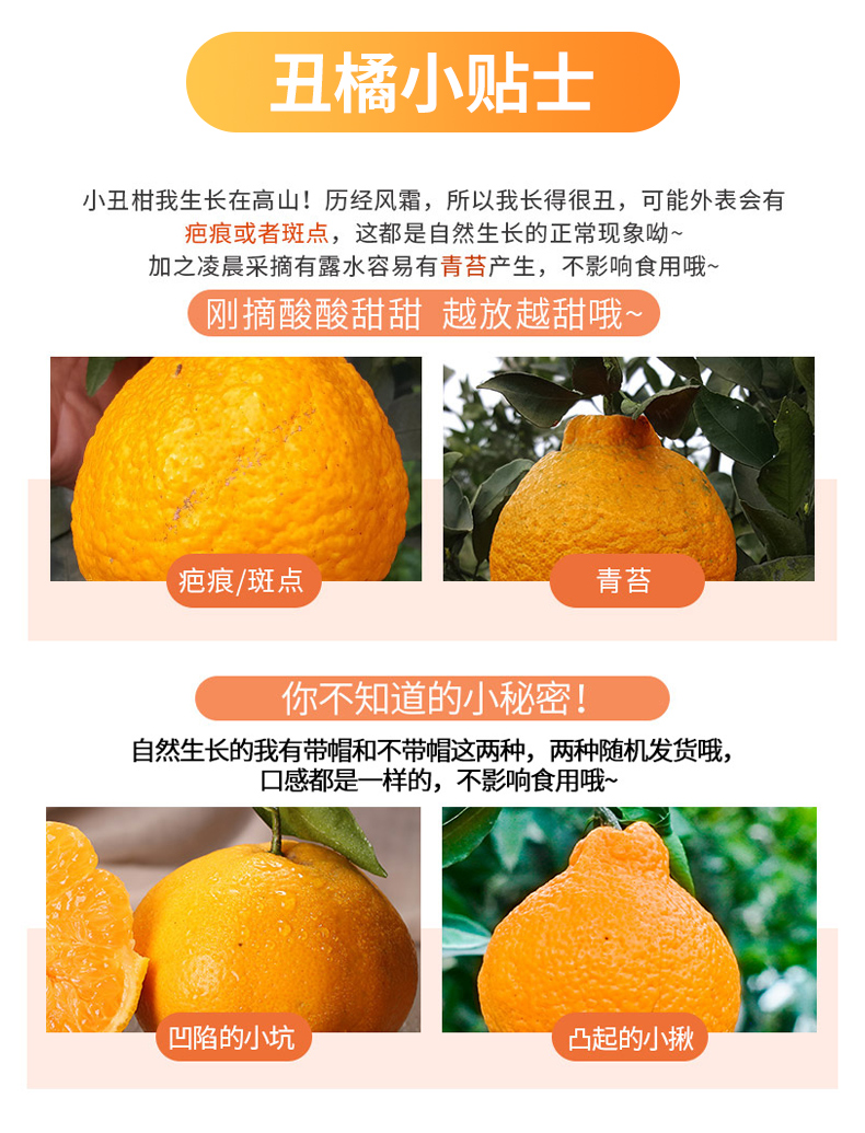 丑橘和耙耙柑图片对比图片
