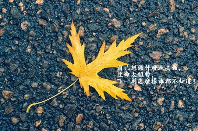 朋友圈走心的心情说说语句 触动人心的说说心情短语