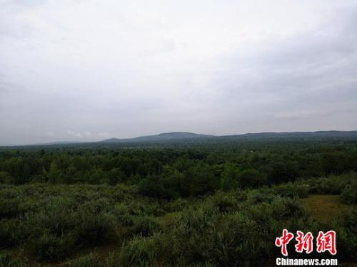 "魔鬼大三角"白二爷沙坝:荒漠里刮起"绿旋风"