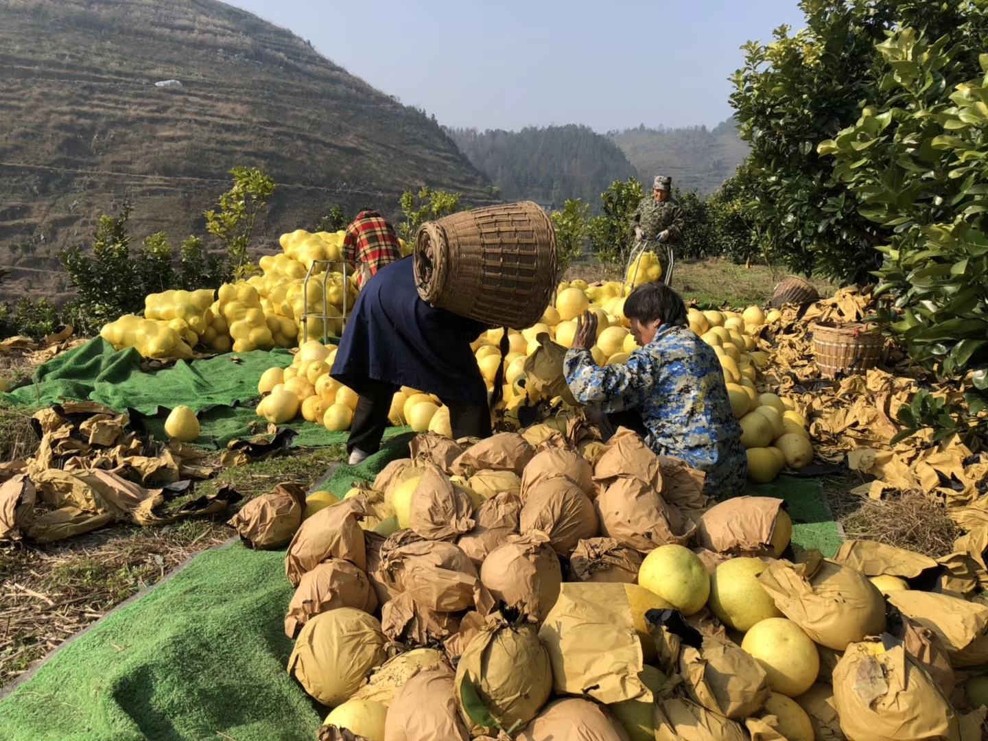 霞哥谈考研|巩固和发展爱国统一战线