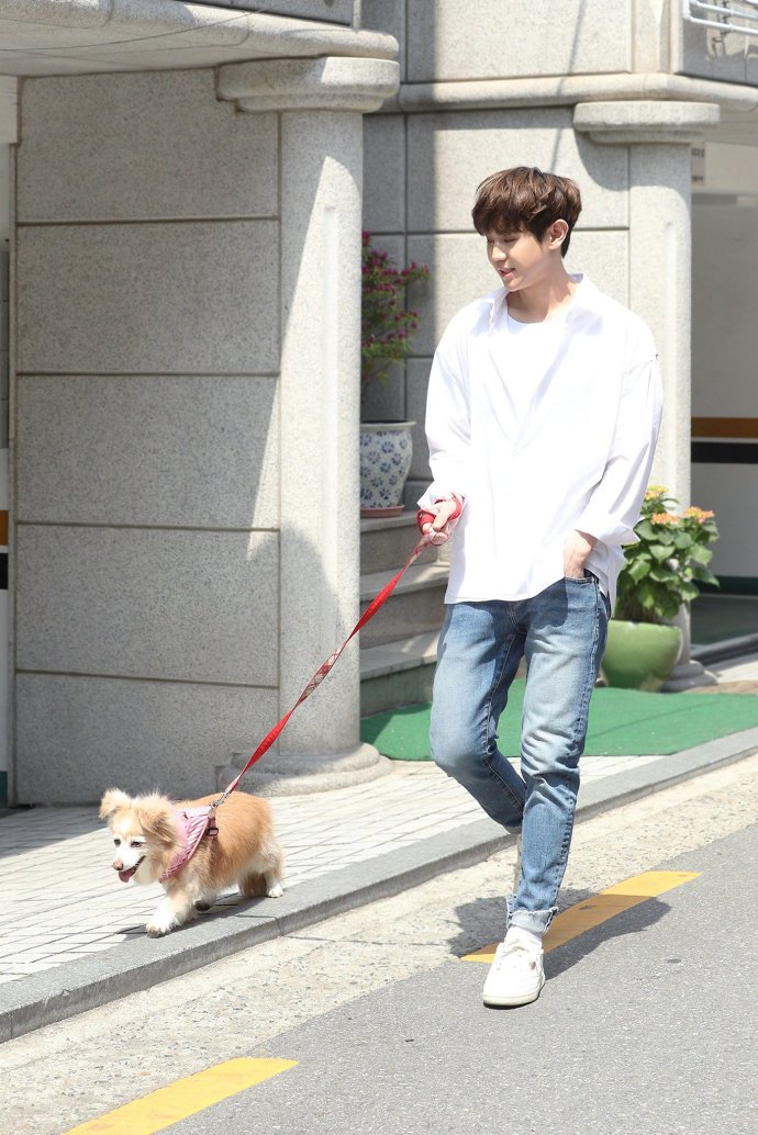 此刻的梁耀燮成为心中的白月光 阳光衬衣遛狗少年在心中收藏