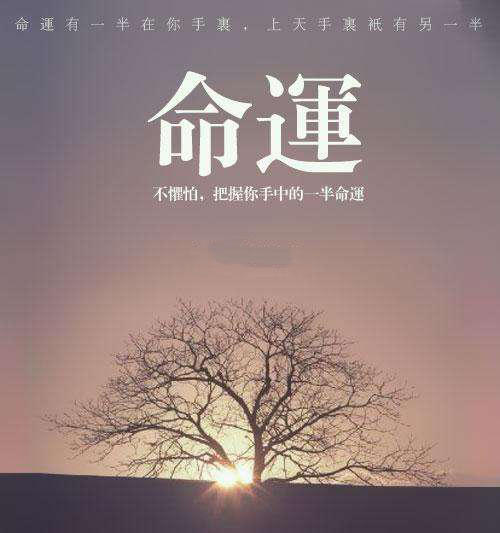 越来越长大的你相信命运吗?