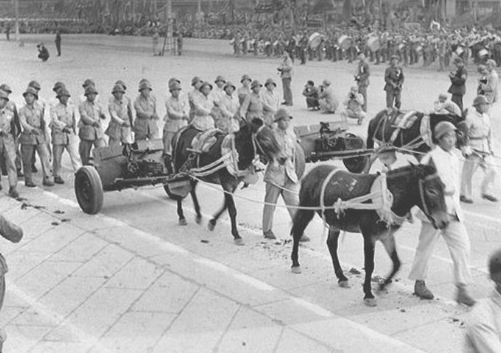 1949年大阅兵:毛驴拉着武器走过天安门,中国人民脸上洋溢着笑容