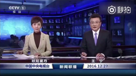 王宁和刘纯燕结婚30年庆,众多央视主持人到场,真的是回忆满满