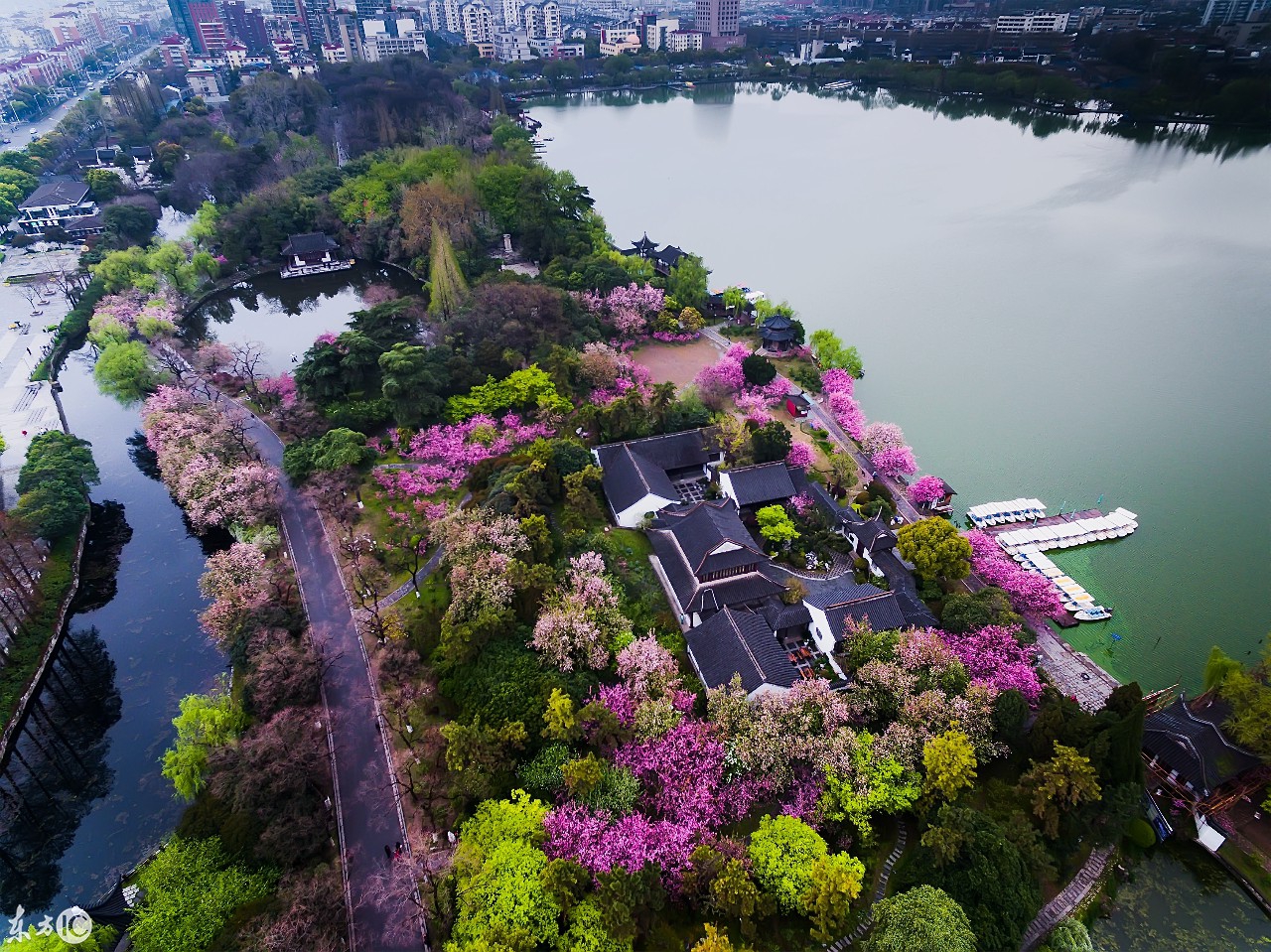 航拍南京莫愁湖,海棠盛开,风景如画!