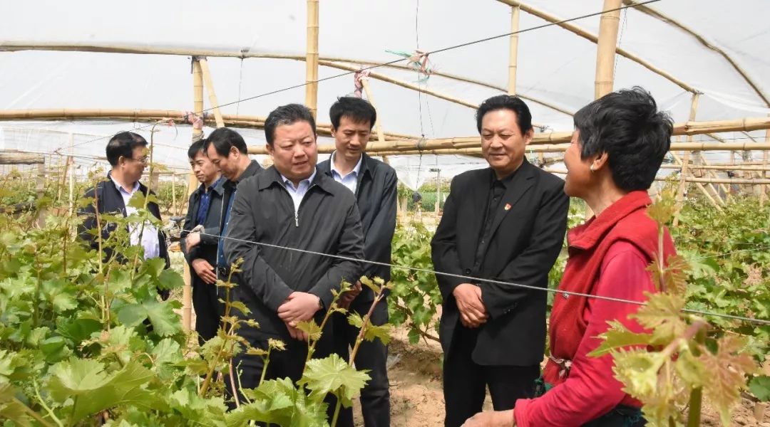 盐湖区委副书记尚国桦调研脱贫攻坚工作