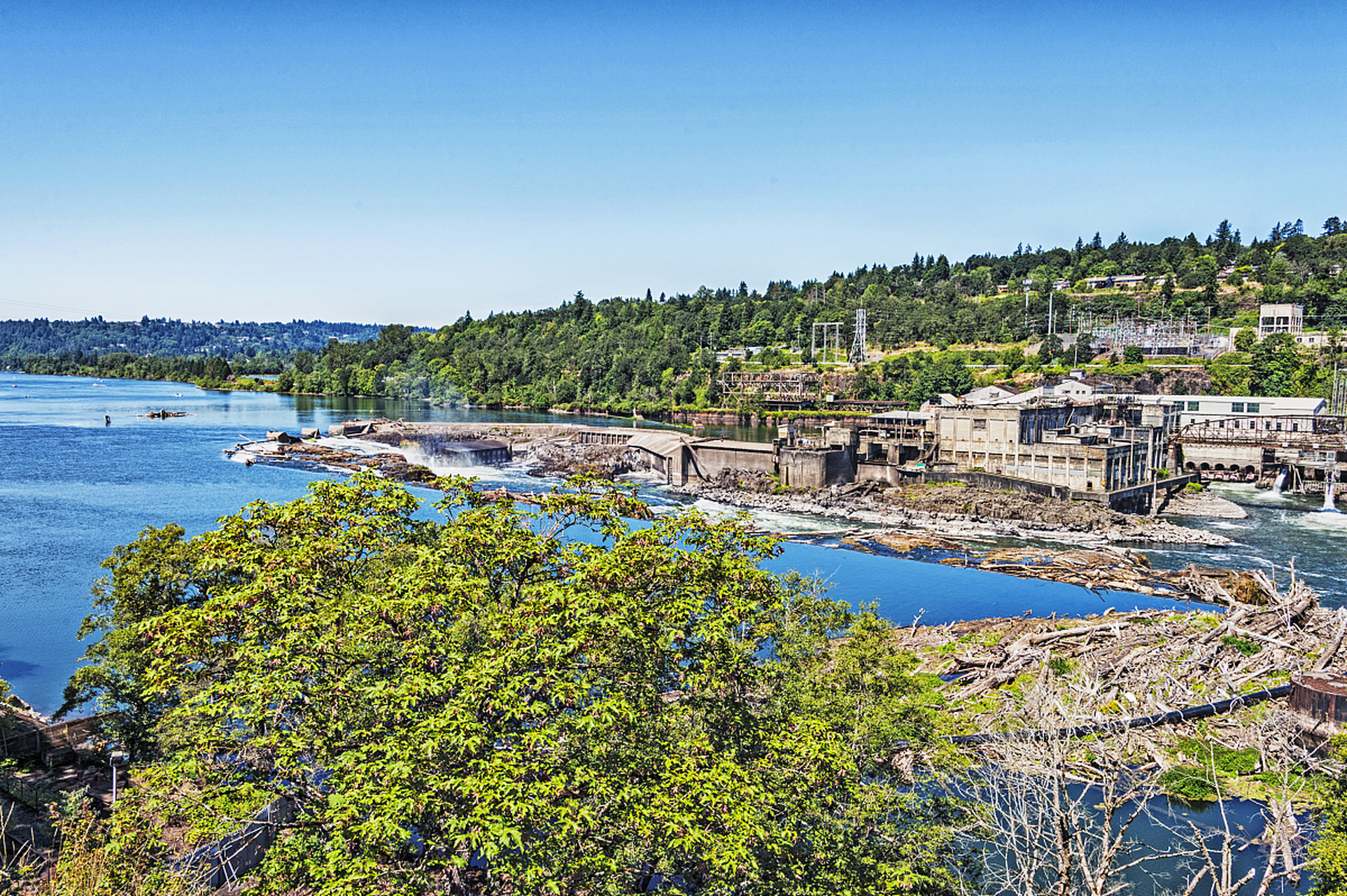 纽埃阿洛菲是一个美丽的岛屿,没有喧嚣和大厦,只有清澈的海水和迷人的