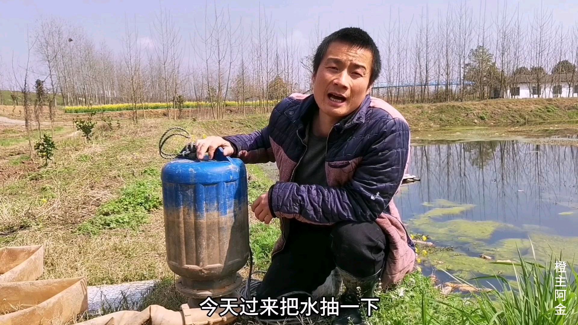 小龙虾养殖户把虾塘水抽掉,为什么说有利于虾苗?