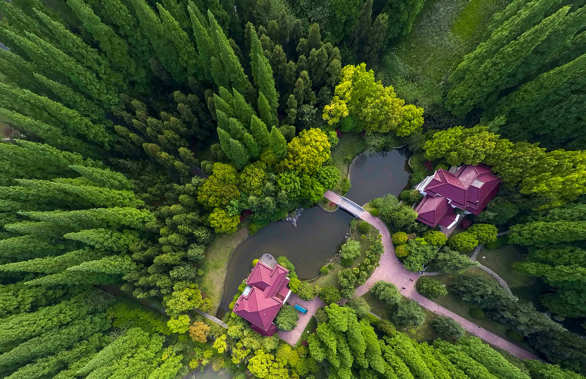 会"变胖"的岛屿,每年"胖"5平方公里,预计50年后和大陆相连