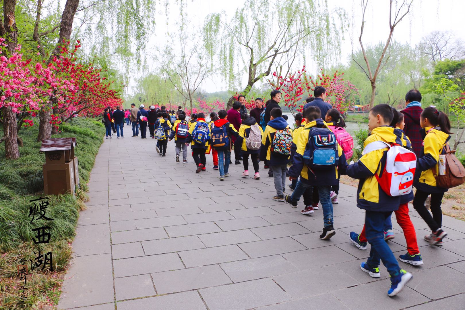 学生的春游季,作为班主任必须了解的六条铁律,你都做到了吗?