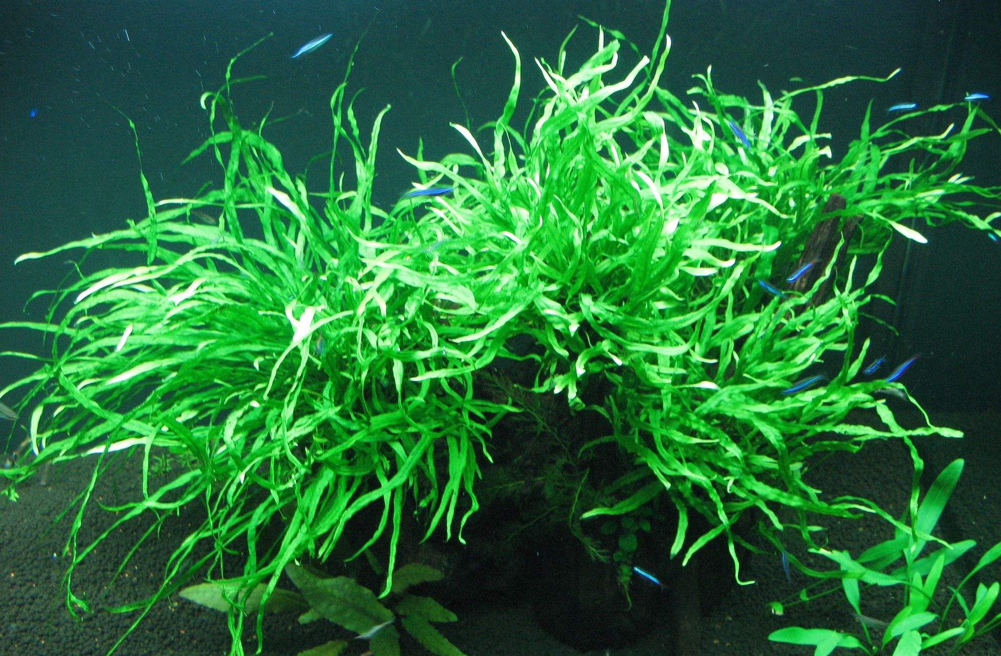 鱼缸- 热门商品专区