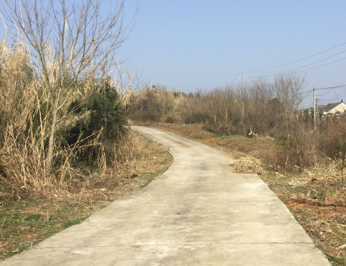 这里的农村满含家乡的味道,与我的故乡如此相似,游子归心似箭