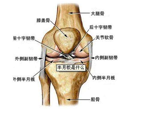 运动中半月板受伤?详解半月板损伤的表现,教给你几个根治方法!