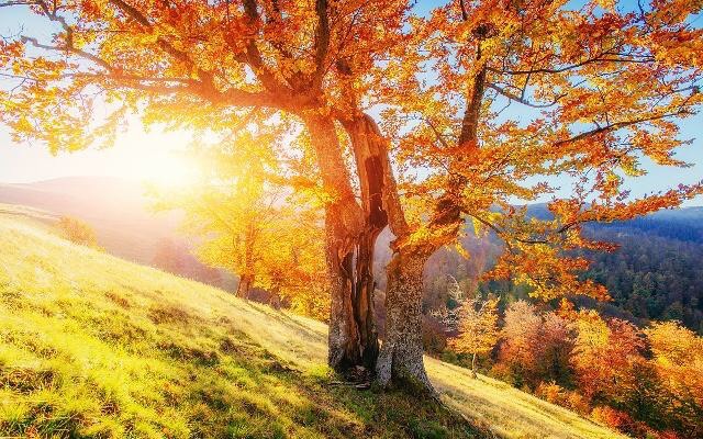 秋天也千万别忽视防晒!其实紫外线更强烈!学习预防紫外线的方法